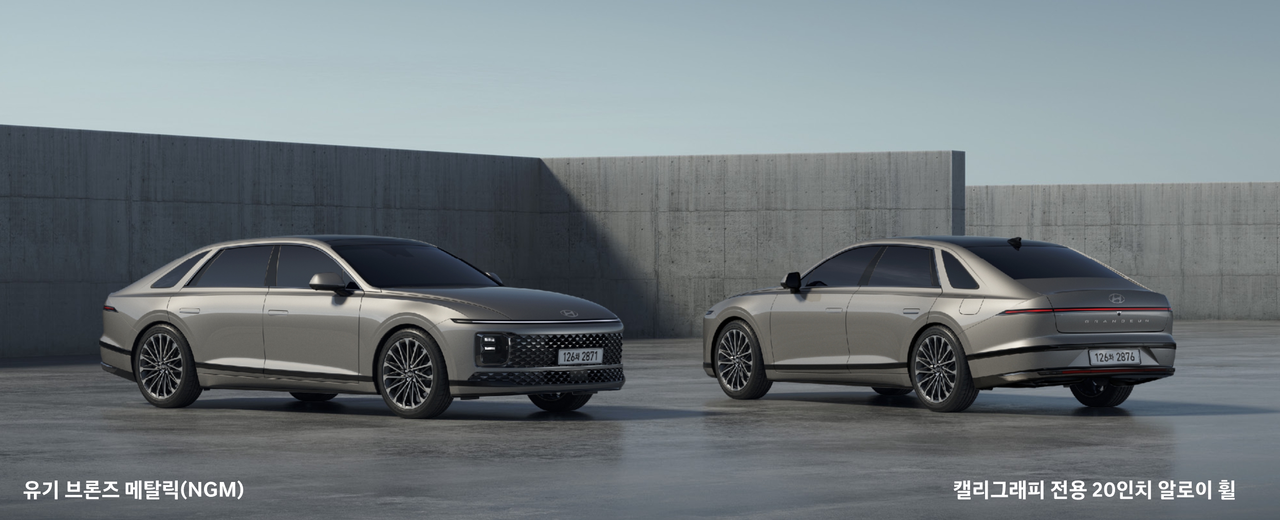 유기 브론즈 메탈릭(색상 코드 : NGM)