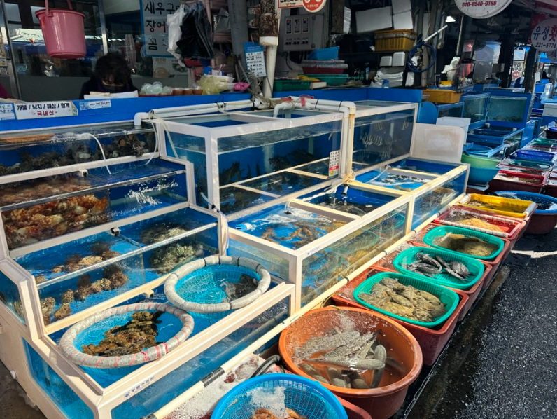 마산어시장의 싱싱한 해산물