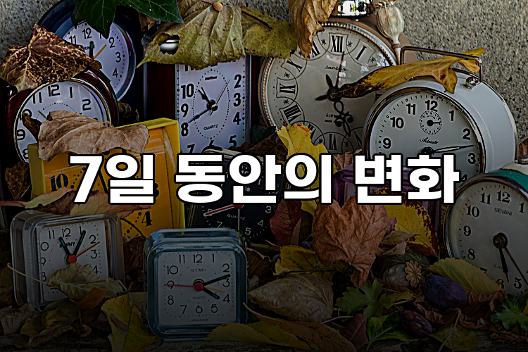 7일 동안의 변화