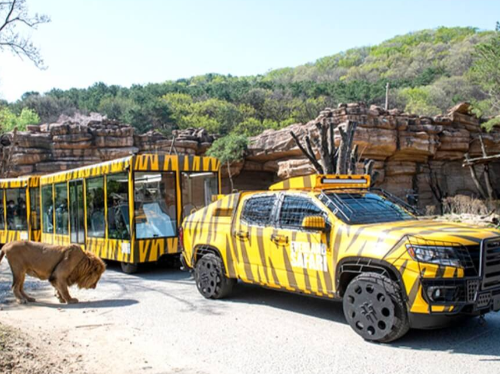 에버랜드 입장료