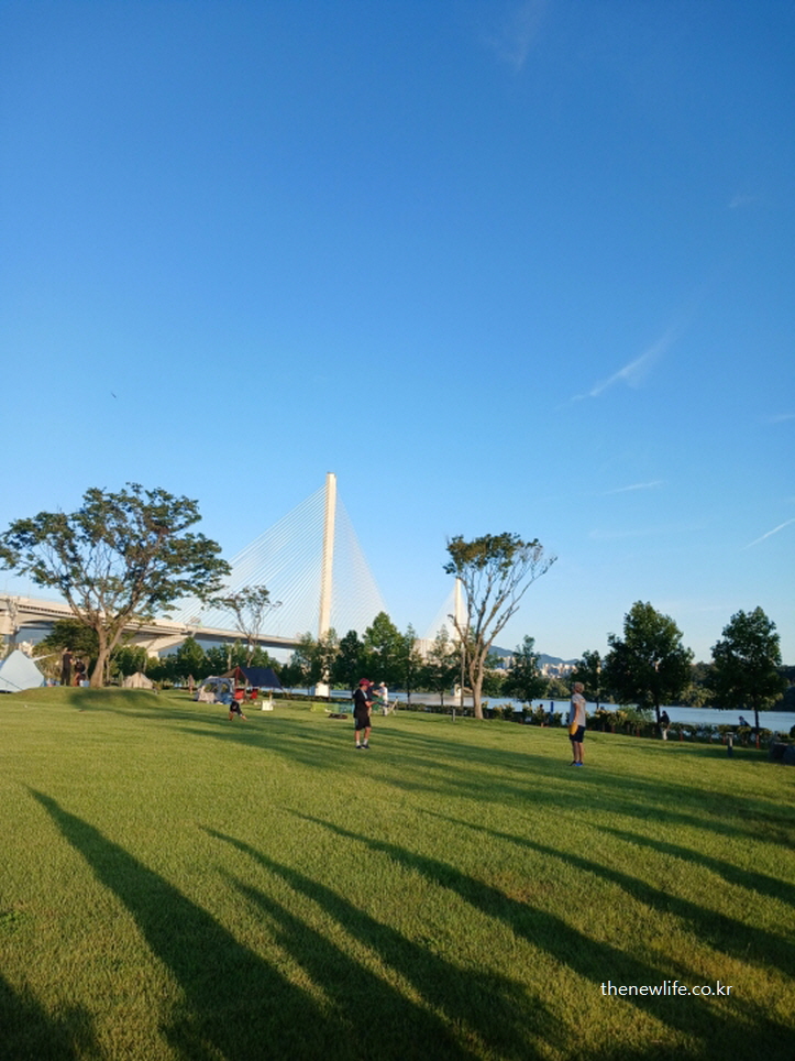 구리 한강시민공원 잔디밭과 고덕토평 대교 전경