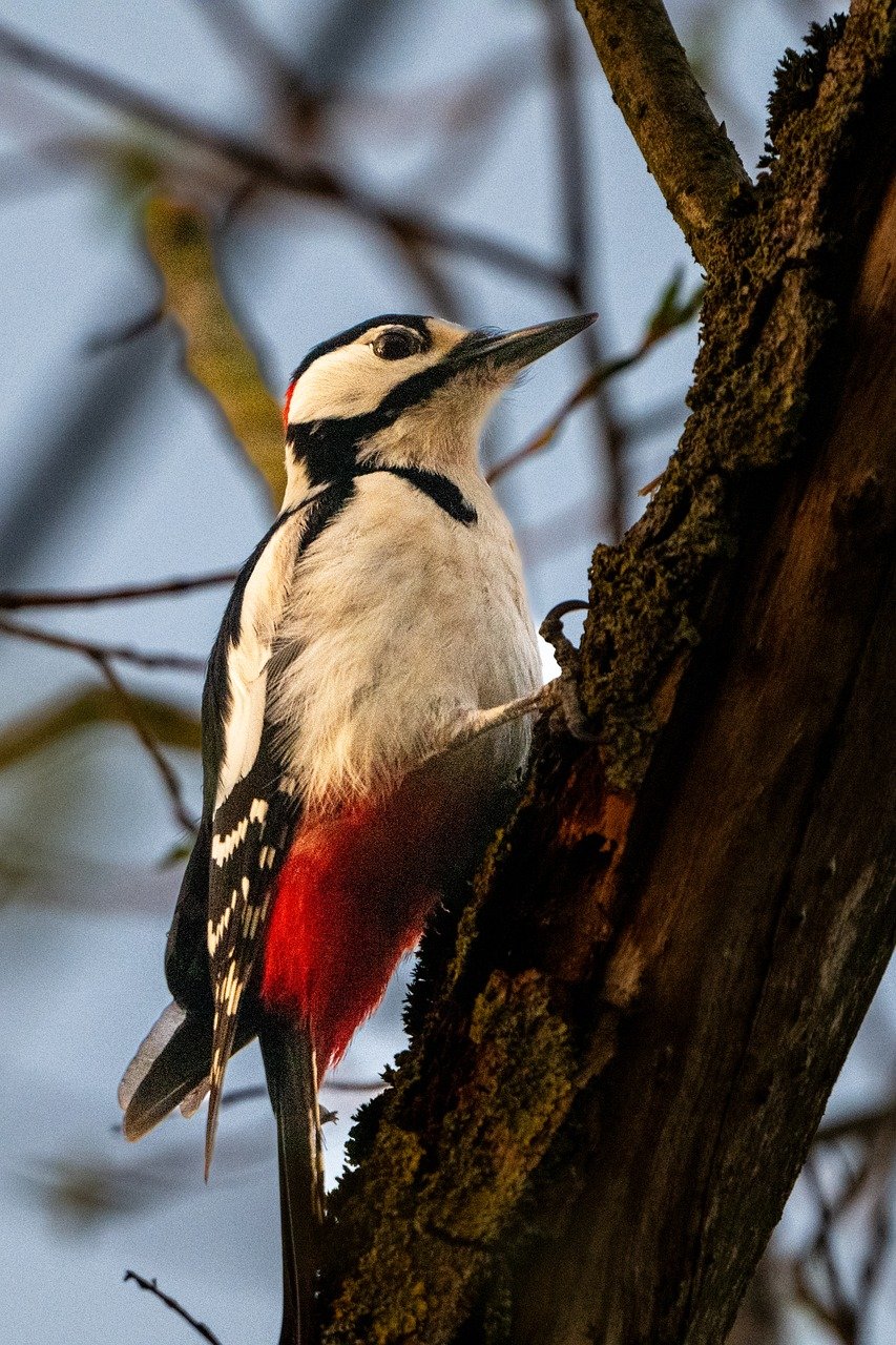 일본 생태계 경고등