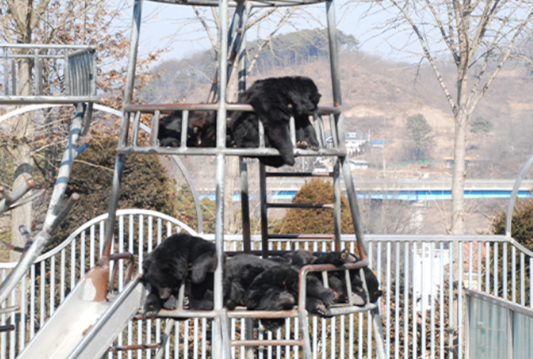 세종 베어트리파크 수목원