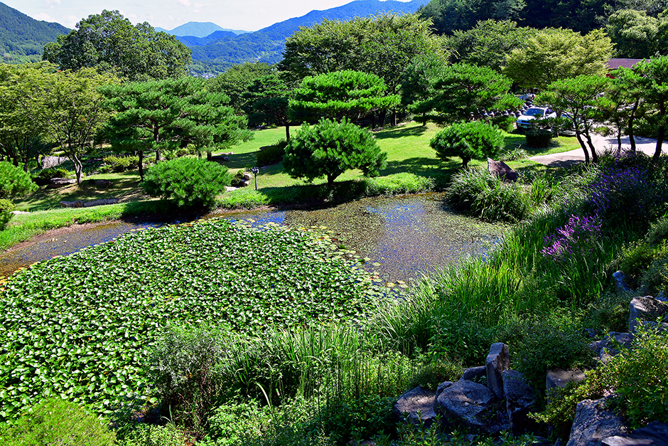 개금불어뮤니티 캠핑장