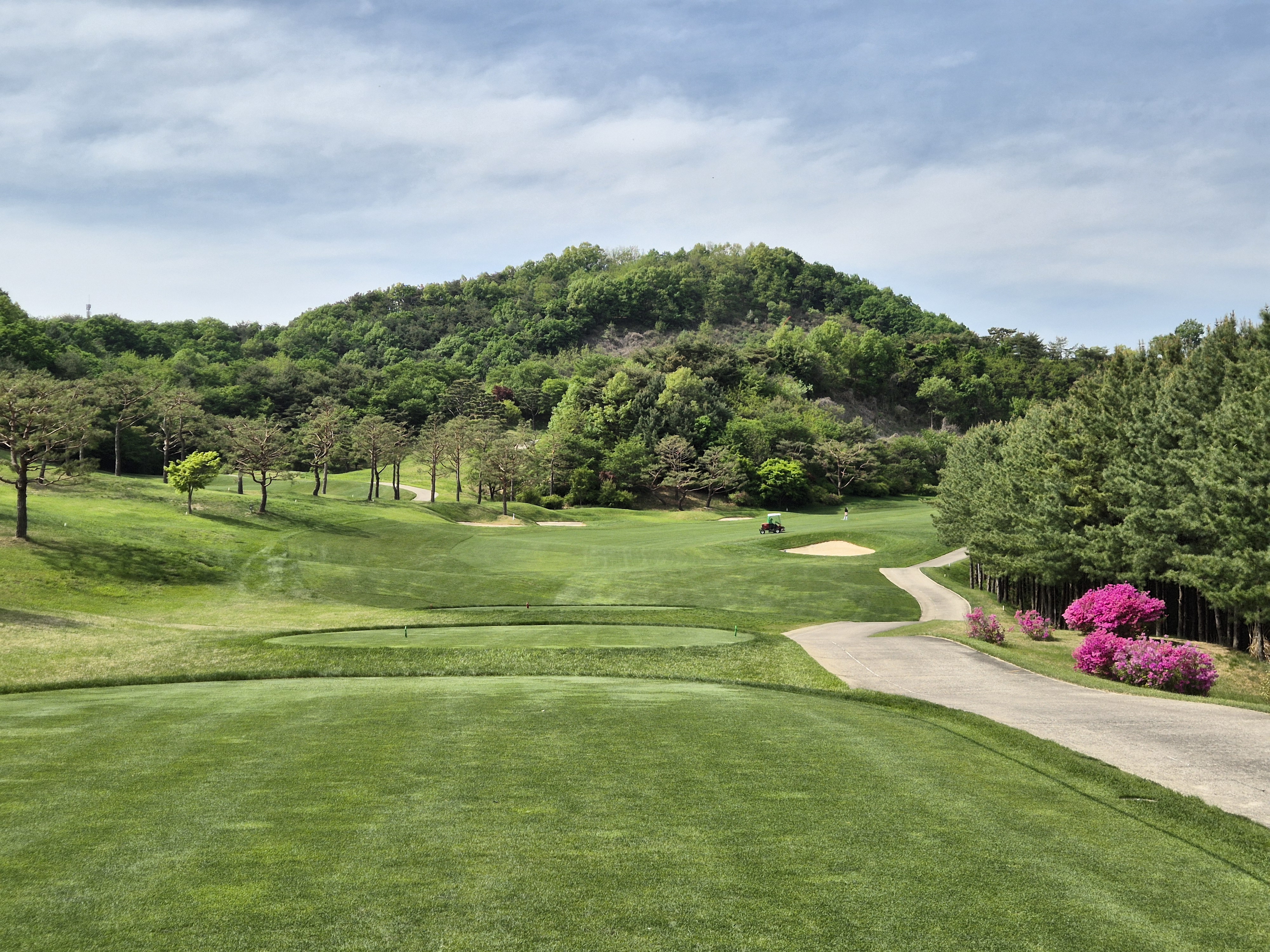 베어크리크cc 크리크코스