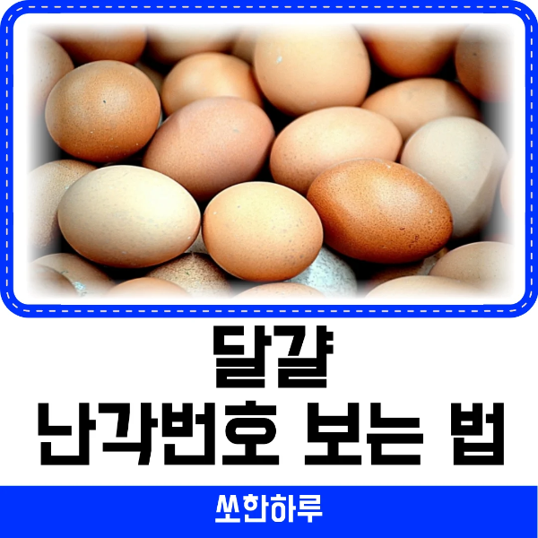 달걀 난각번호 보는법