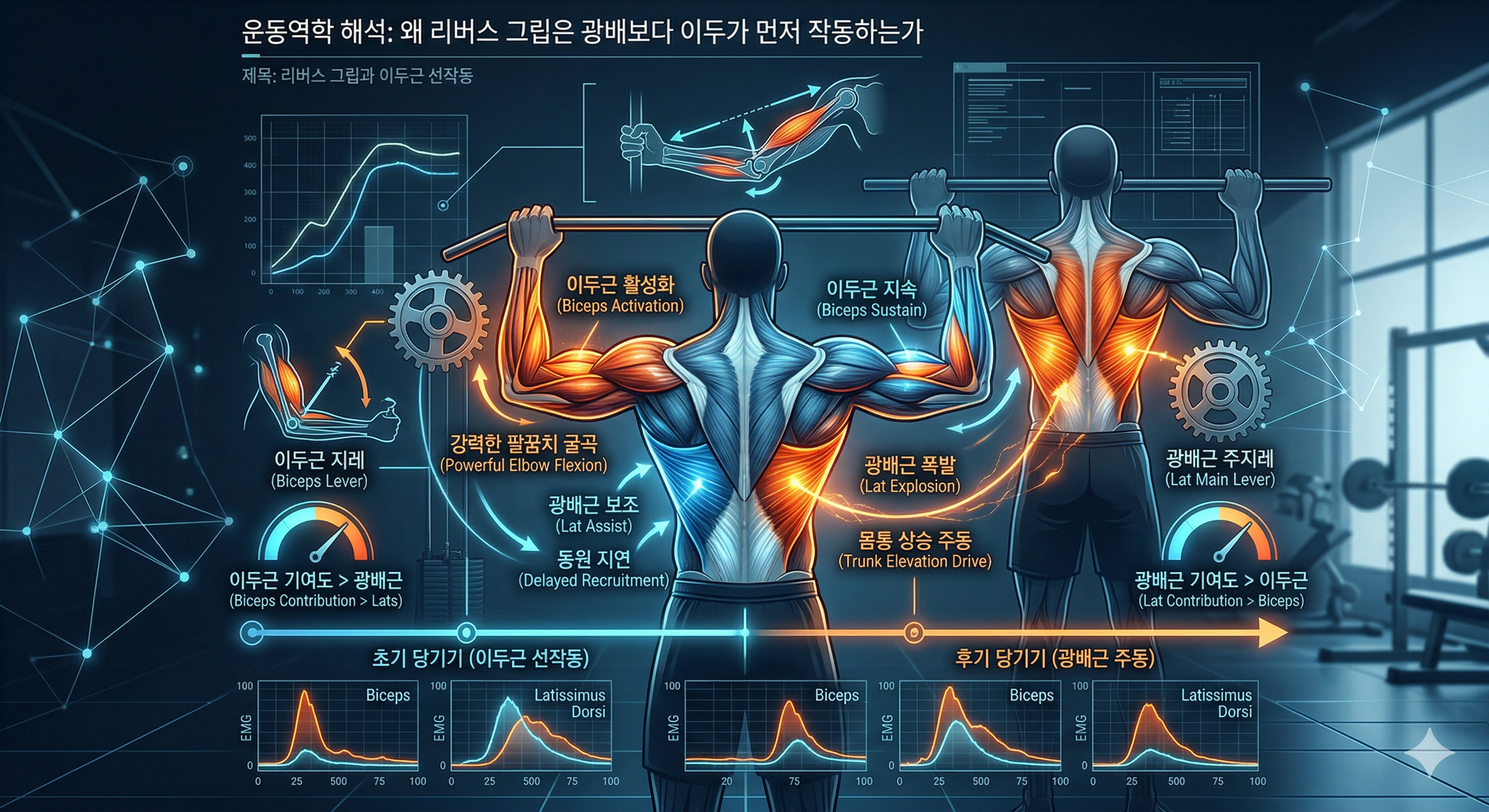 왜 리버스 그립은 광배보다 이두가 먼저 작동하는가