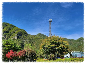 영월곤충박물관