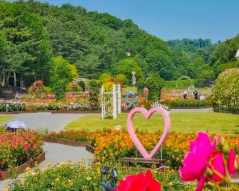 울산대공원 장미축제_6