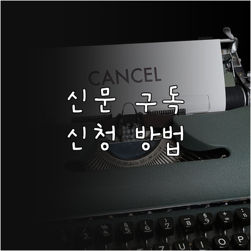 포천시 2025 장애인 가구 신문 지..