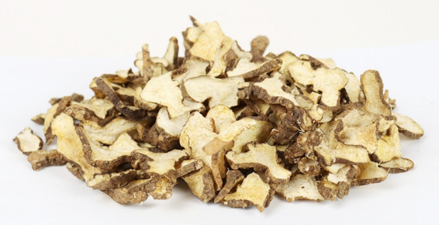 야생에서 채취를 한 백출을 깨끗하게 세척을 한 후에 편으로 자른 것을 하얀 바닥 위에 수북하게 놓아두고 찍은 사진