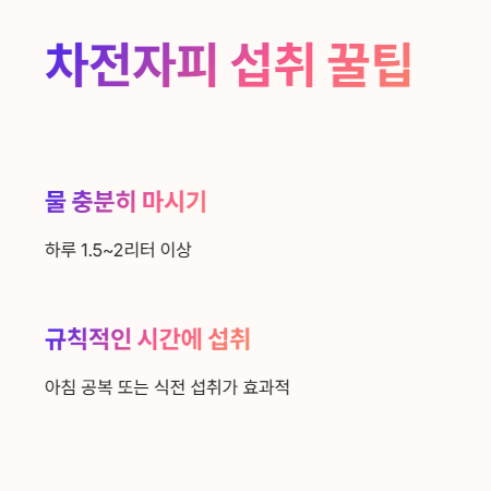 차전자피 섭취 시 꿀팁