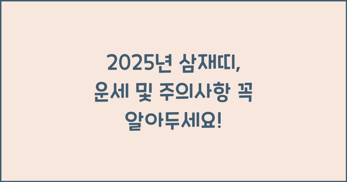 2025년 삼재띠