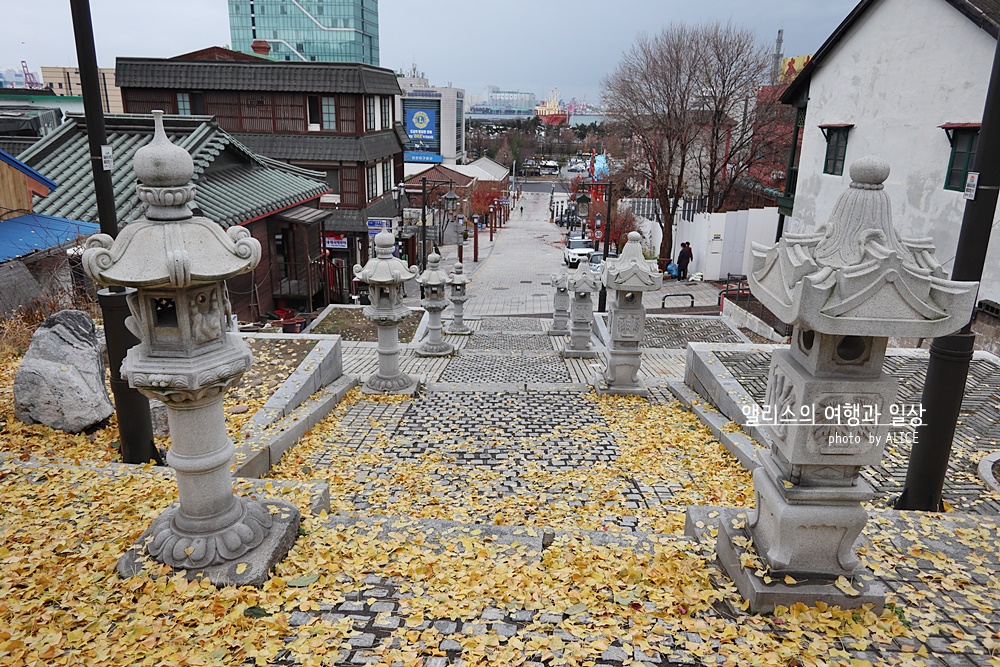 2021년 호텔 결산 QnA (제일 좋은, 가성비 좋은, 특색있는 호텔 등등등) ... 여행블로거 &amp;amp;amp; 크리에이터 앨리스