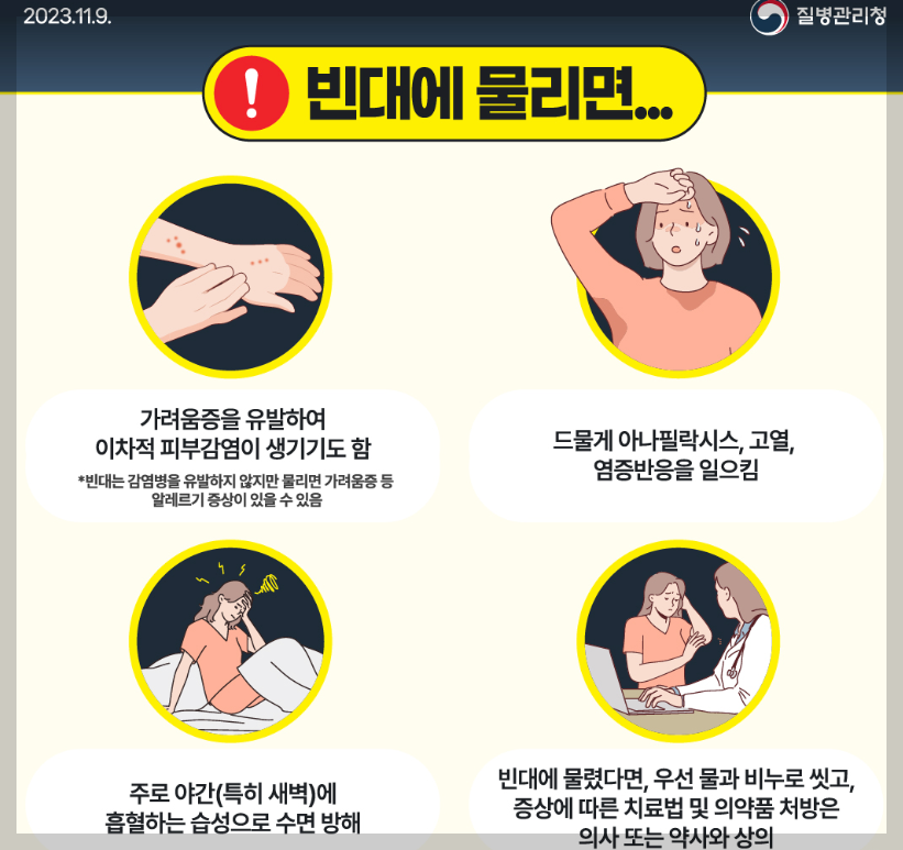 빈대 퇴치법 및 증상 A to Z