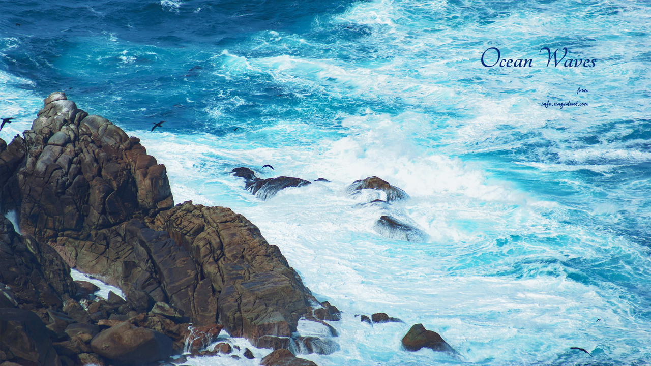 13 바위, 파도, 새 C - Ocean Waves 파도배경화면