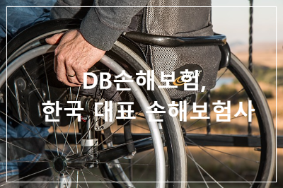 db 손해보험