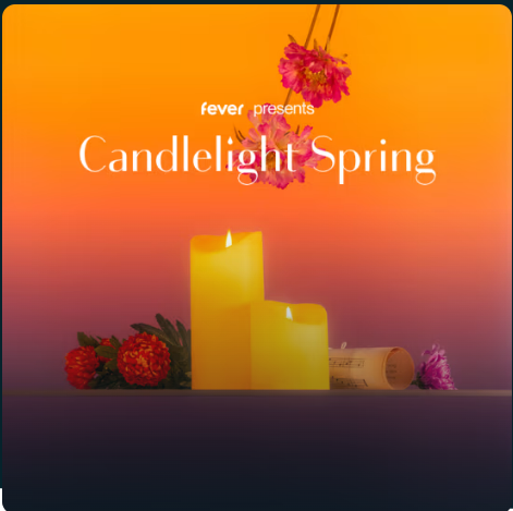 캔들라이트 스프링