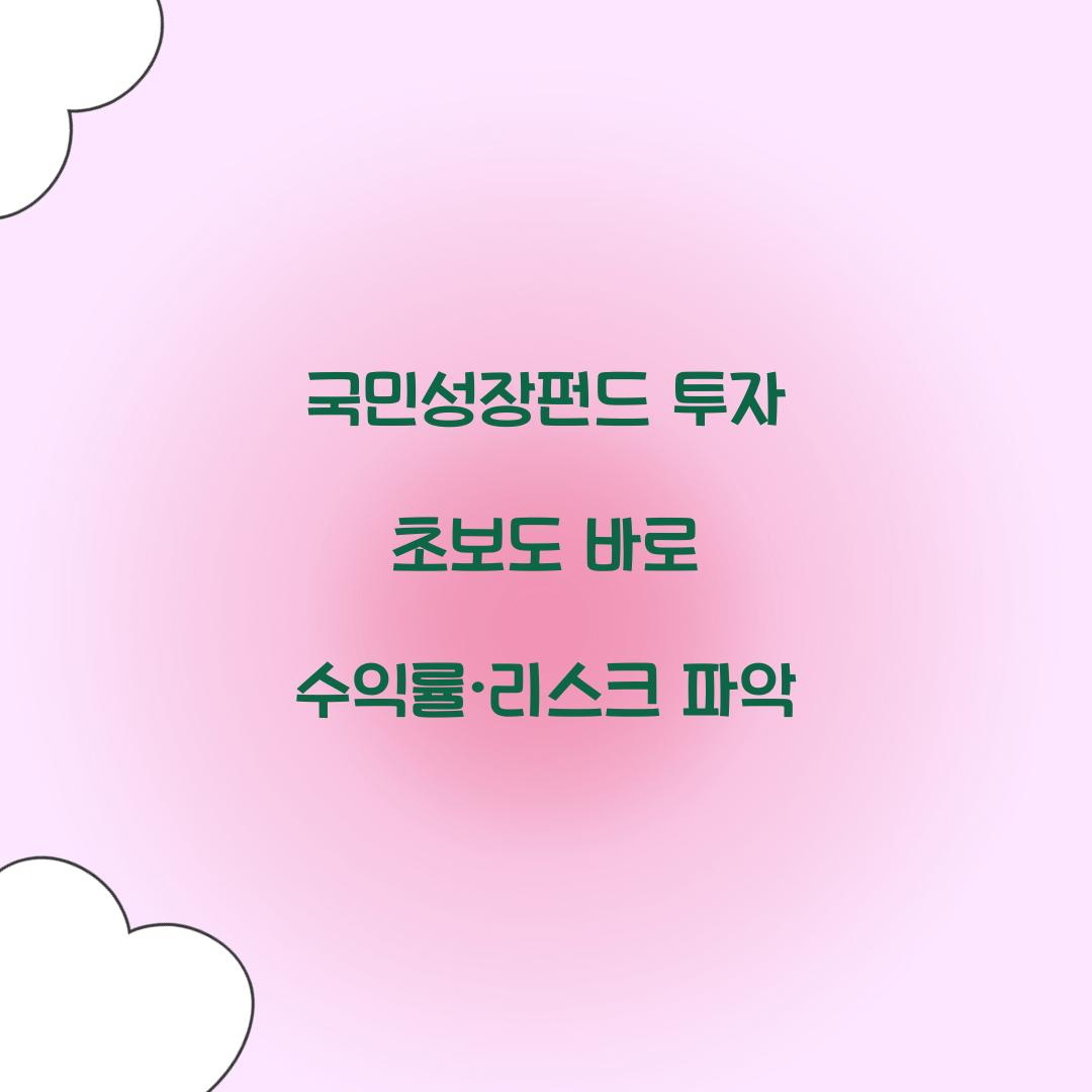 국민성장펀드 투자