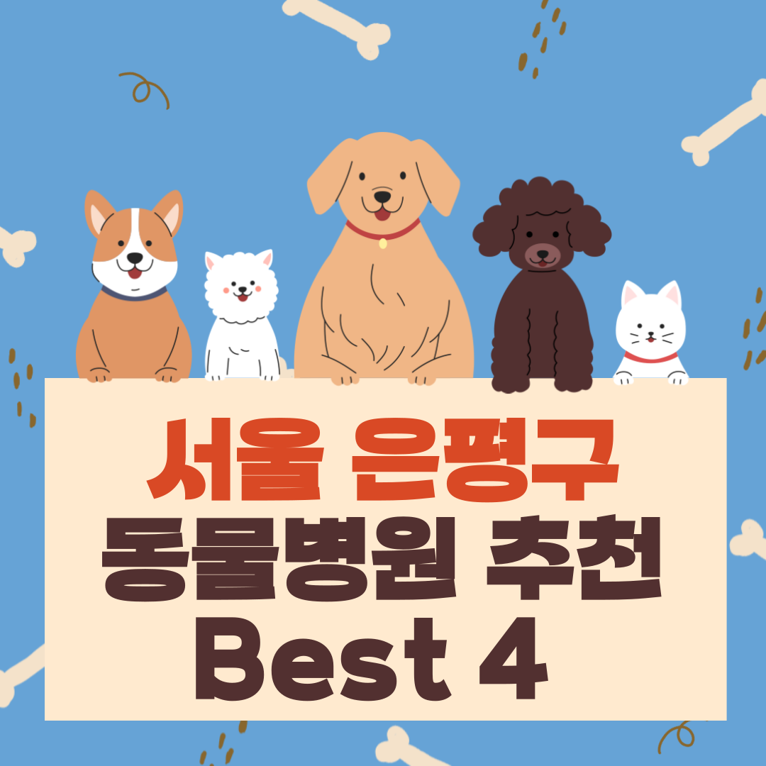 서울 은평구 동물병원 추천