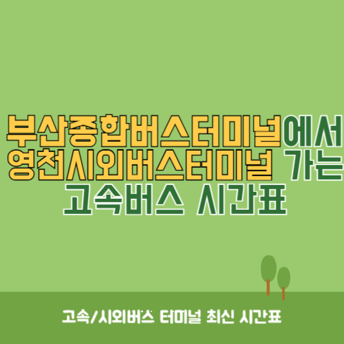 부산종합버스터미널에서 영천시외버스터미널 가는 고속버스 시간표 최신정보