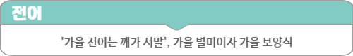 소제목1