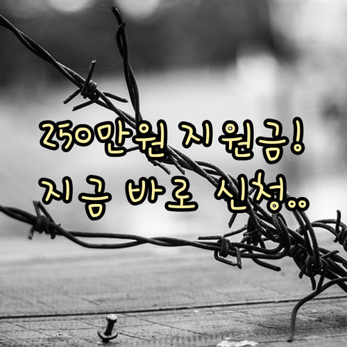 소상공인 폐업 지원금 250만원 신청..