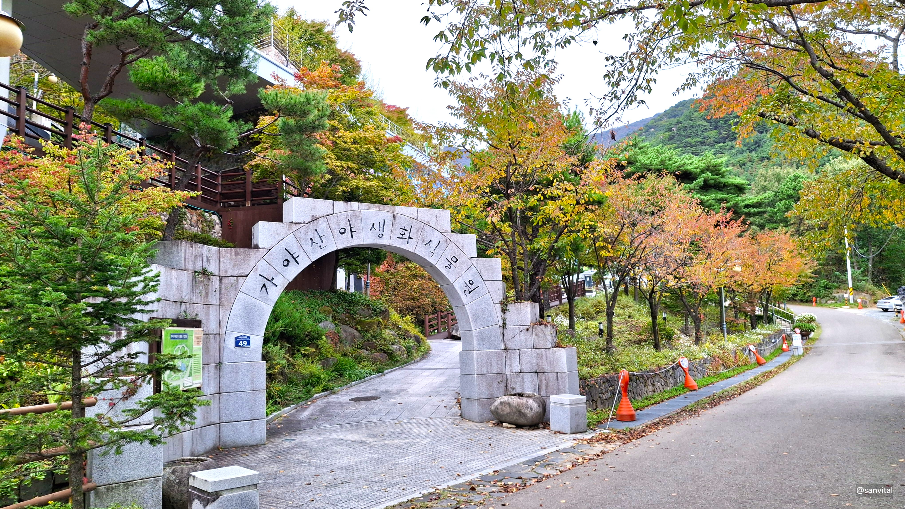 가야산 야생화식물원