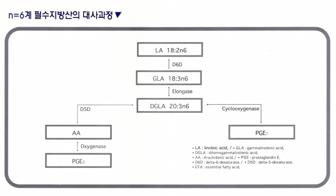 아토피 습진과 알러지가 너무 심할 때 에보프림 연질캡슐 처방 받아 먹더라고요. 근데 어떻게 먹는지 아세요?