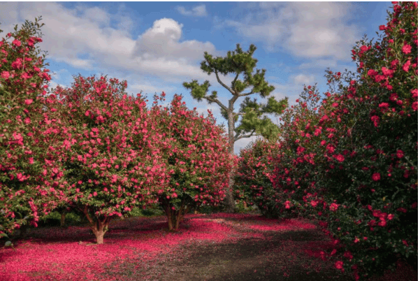 겨울 여행지 추천