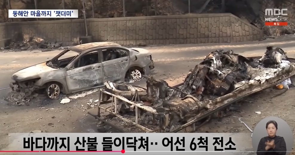 산불 피해 상황