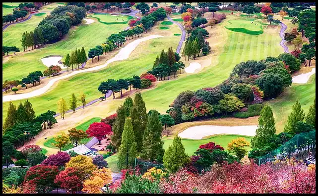 파크골프 용어 정리 (+ 해설 )