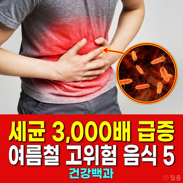식중독 음식