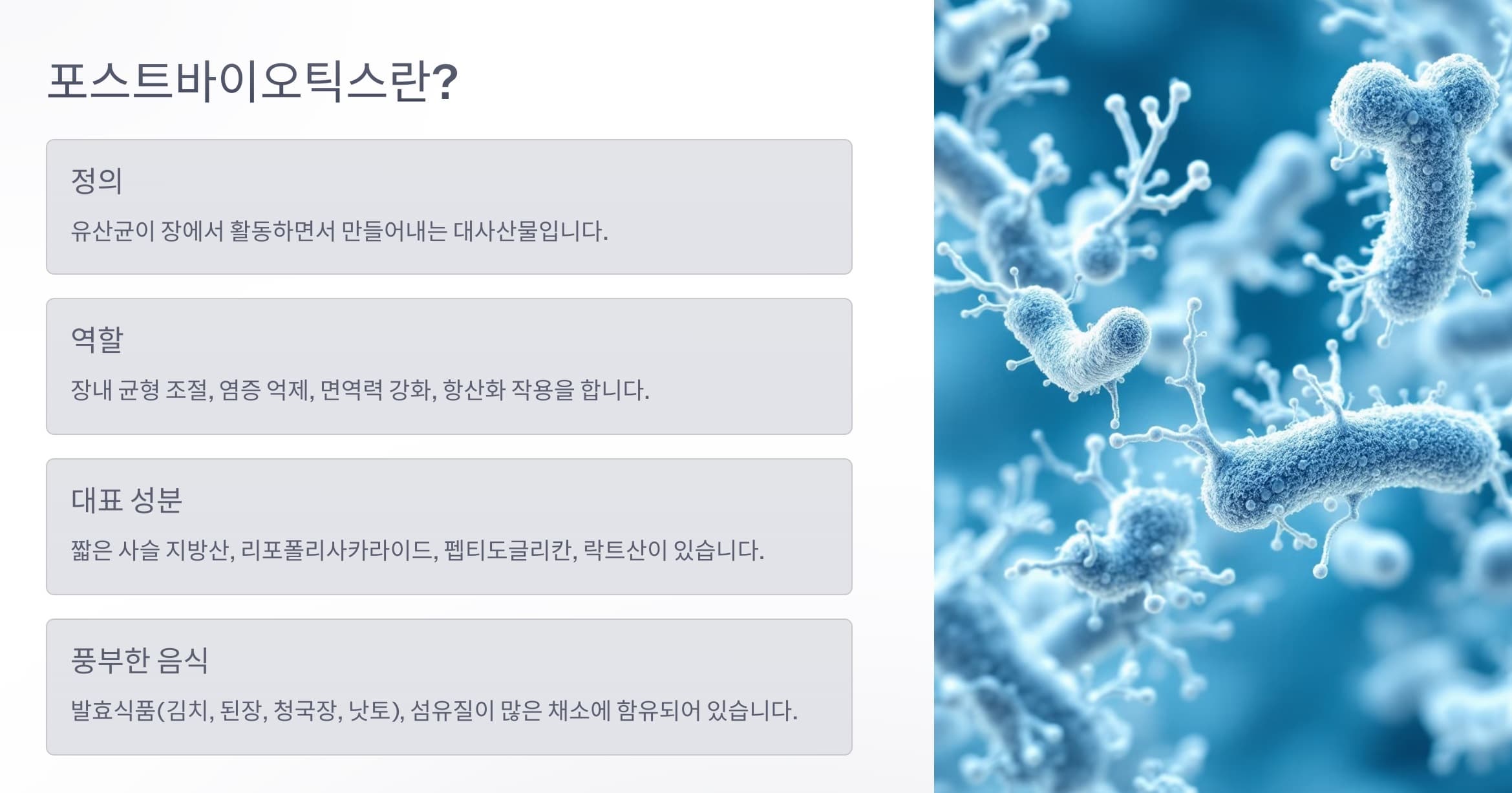 포스트바이오틱스의 정의, 역할, 대표 성분, 풍부한 음식을 요약 정리한 그래픽