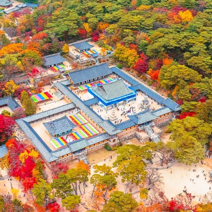 경주 단풍 절정시기