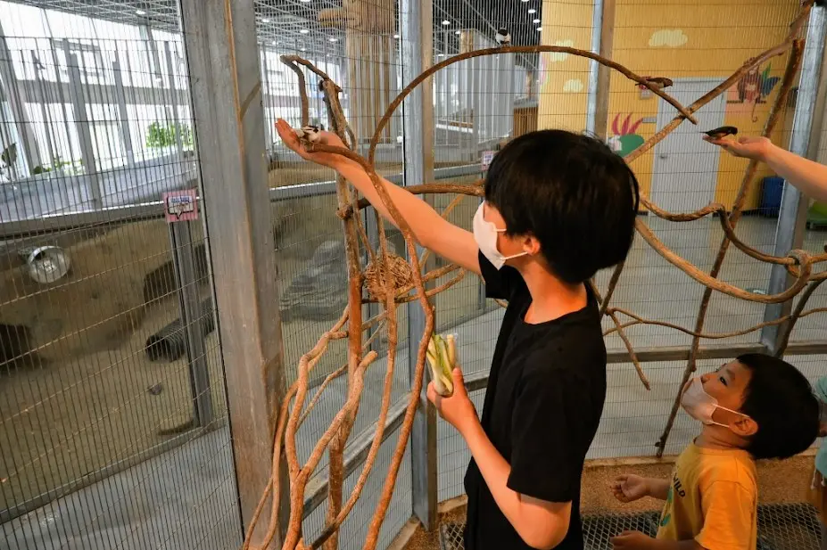 오산 버드파크 후기 사진22