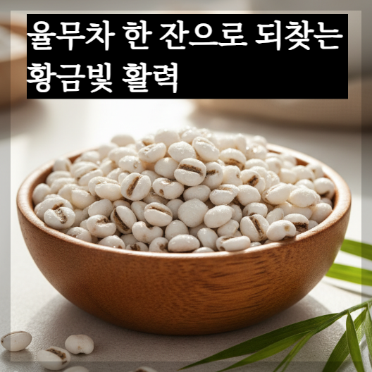 따뜻한 아침 햇살이 비치는 나무 테이블 위에 정갈하게 담긴 볶은 율무알들과 하얀 김이 모락모락 피어오르는 구수한 율무차 한 잔이 놓여 있는 평온하고 치유적인 분위기의 실사 이미지