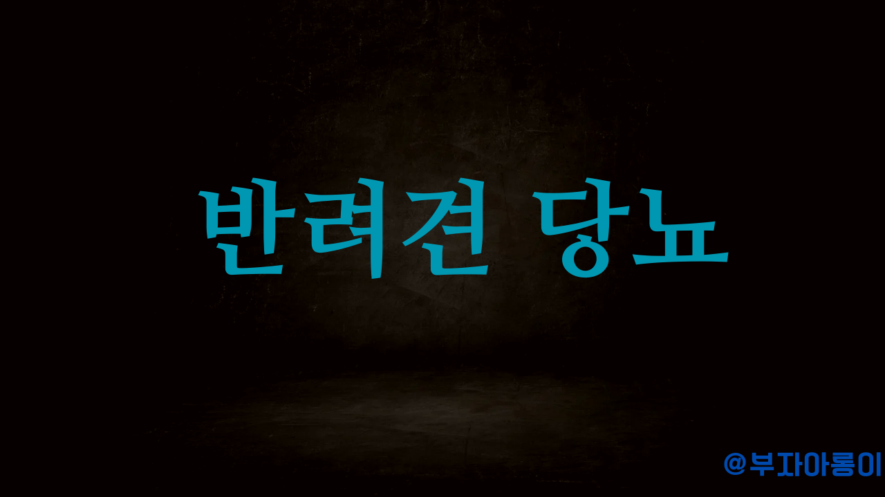 반려견의 당뇨병 원인,증상,치료