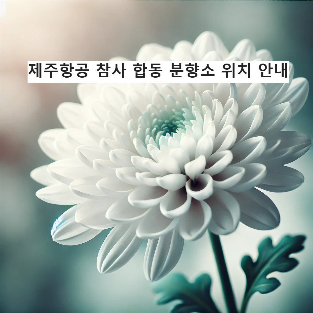 제주항공 참사 합동 분향소 ❘ 무안공항 사고 분향소 ❘ 전국 분향소 위치 안내