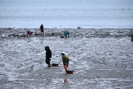 오이도가 좋은 이유부터 맛집까지! 시흥 오이도의 매력 총정리11