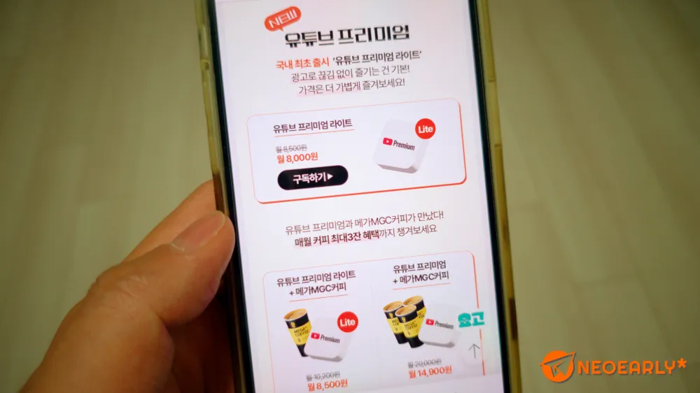 유튜브 프리미엄 라이트 외에도 여러 구독이 있습니다.