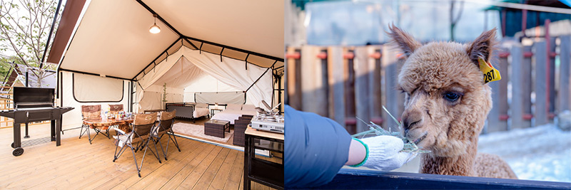 동화힐링캠프사진