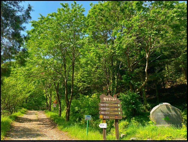 백운산자연휴양림 건강숲길