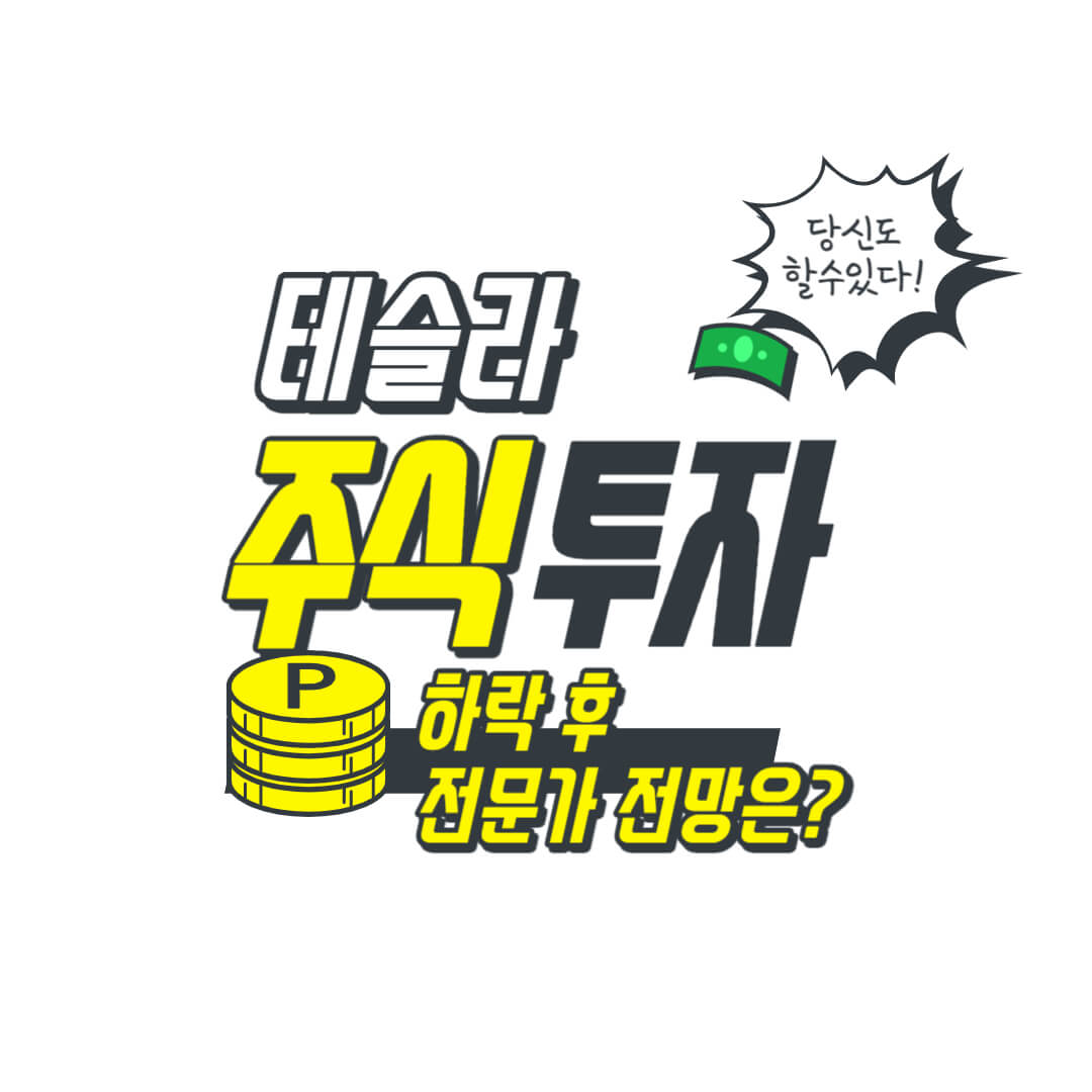 테슬라 주식 투자 하락 후 전문가 전망은? 썸네일