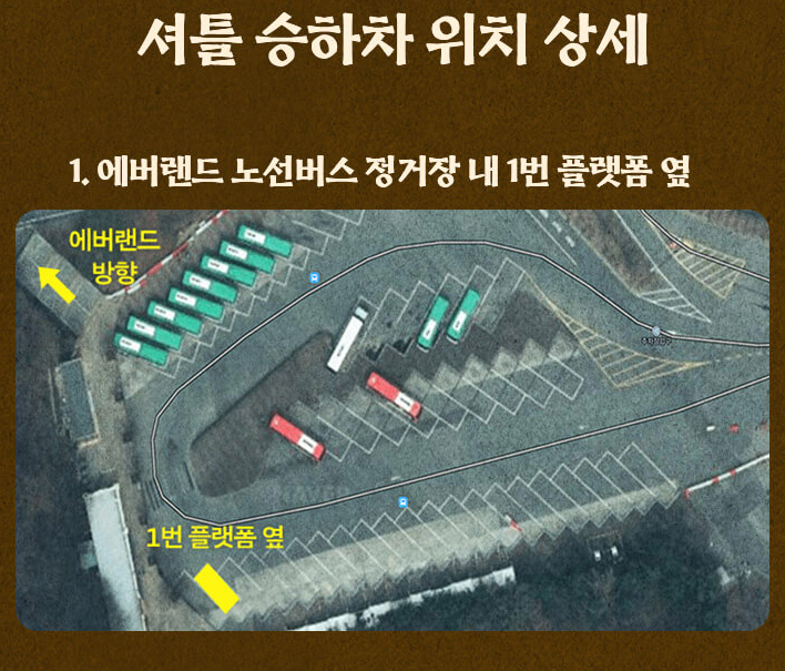 에버랜드 은행나무숲 예약
