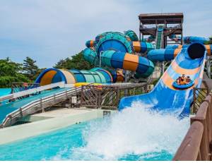 강원도 추천 워터파크 BEST 8곳