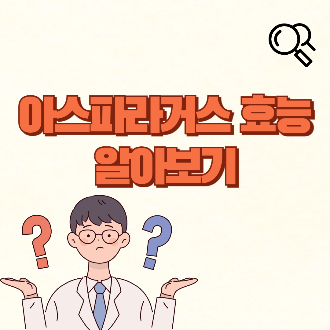 글 대표 이미지