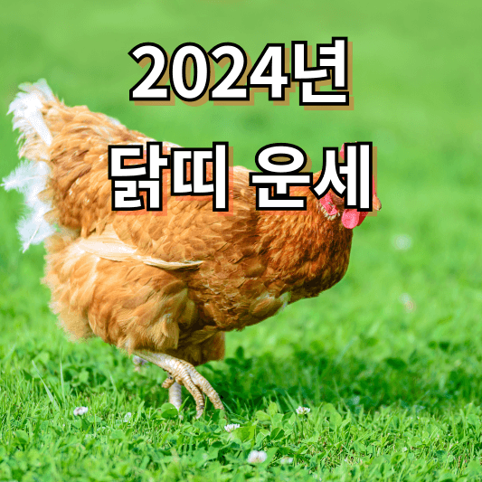 2024년 닭띠 운세
