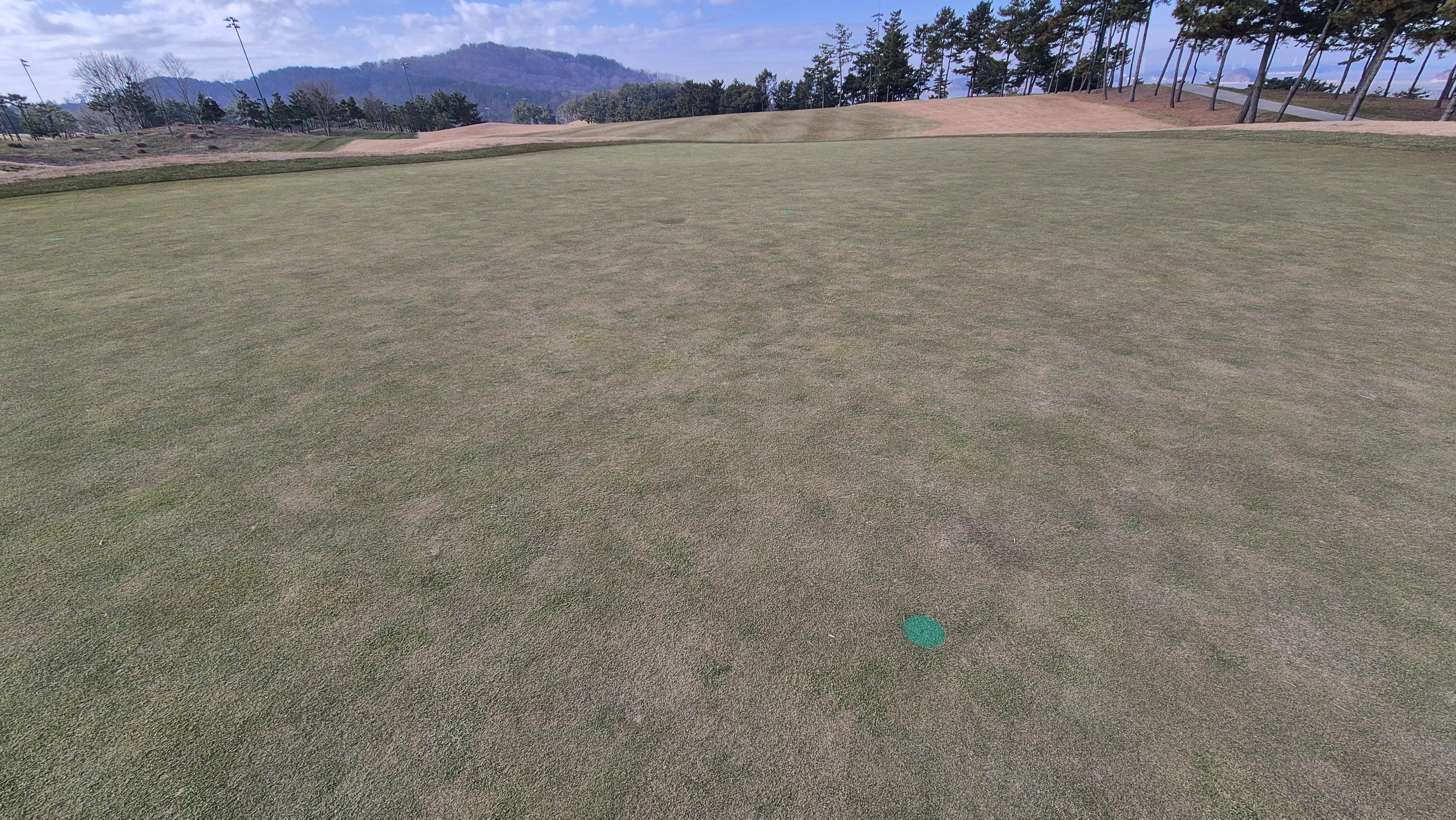 더헤븐cc 사우스-웨스트 코스 그린관리상태