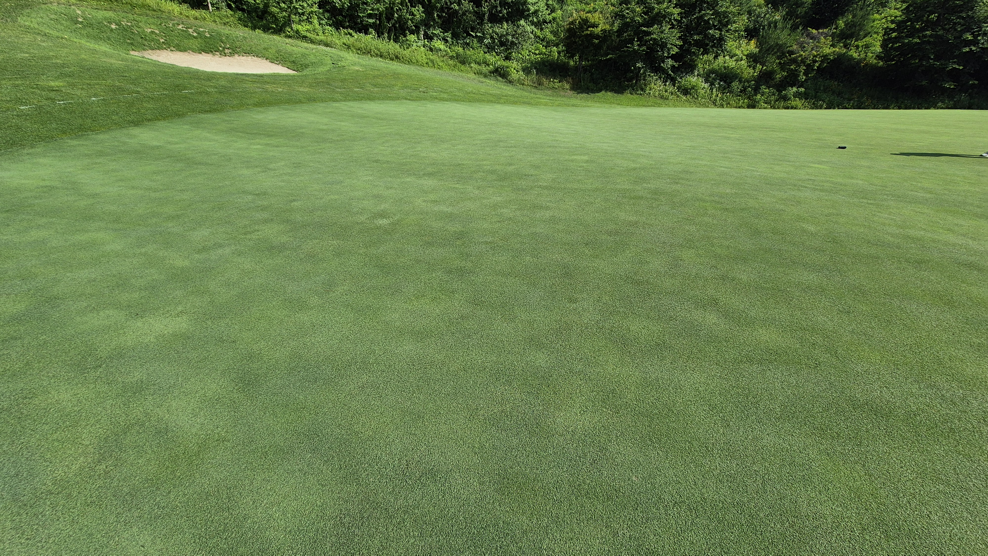 샤인데일cc 라운드 후기